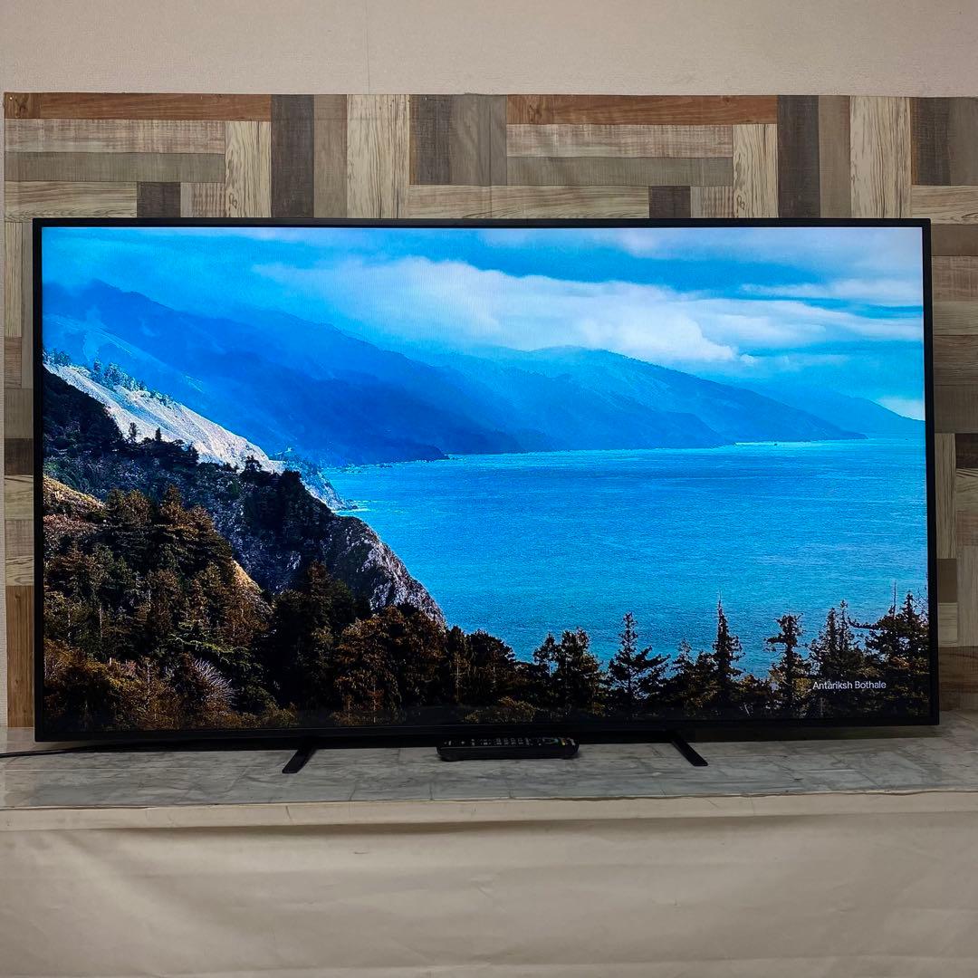 即日受渡❣️全国送料込Panasonic65型液晶ディスプレイスピーカーリモコン付