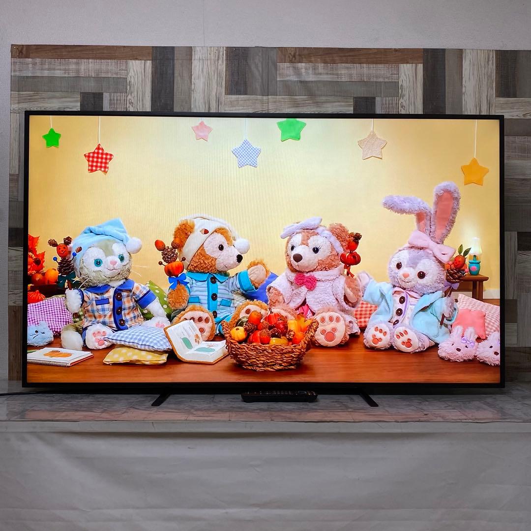 即日受渡❣️全国送料込Panasonic65型液晶ディスプレイスピーカーリモコン付