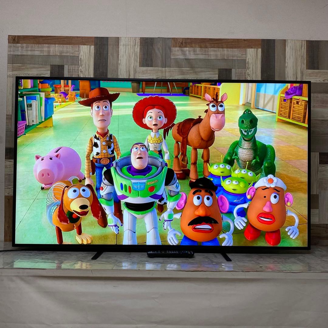 即日受渡❣️全国送料込Panasonic65型液晶ディスプレイスピーカーリモコン付