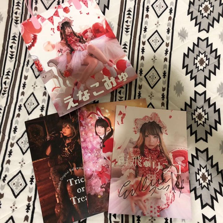 直筆サイン付き C95 限定 新刊セット えなこりんセット