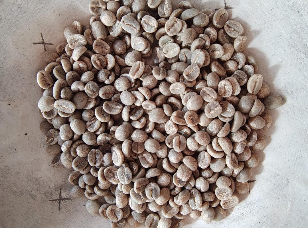 ケニア産有機コーヒー生豆　キマンディ農園製 15kg 品番KC-15000