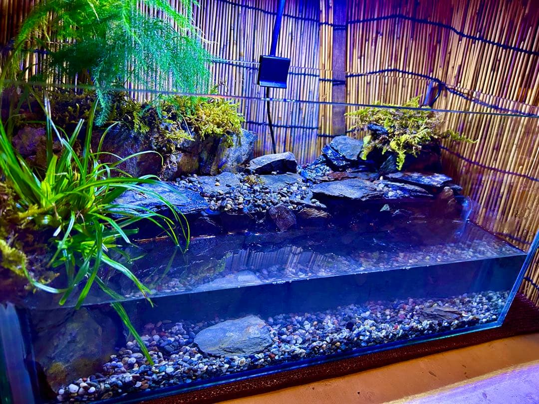 水の流れる滝テラリウム水槽　オールガラス45