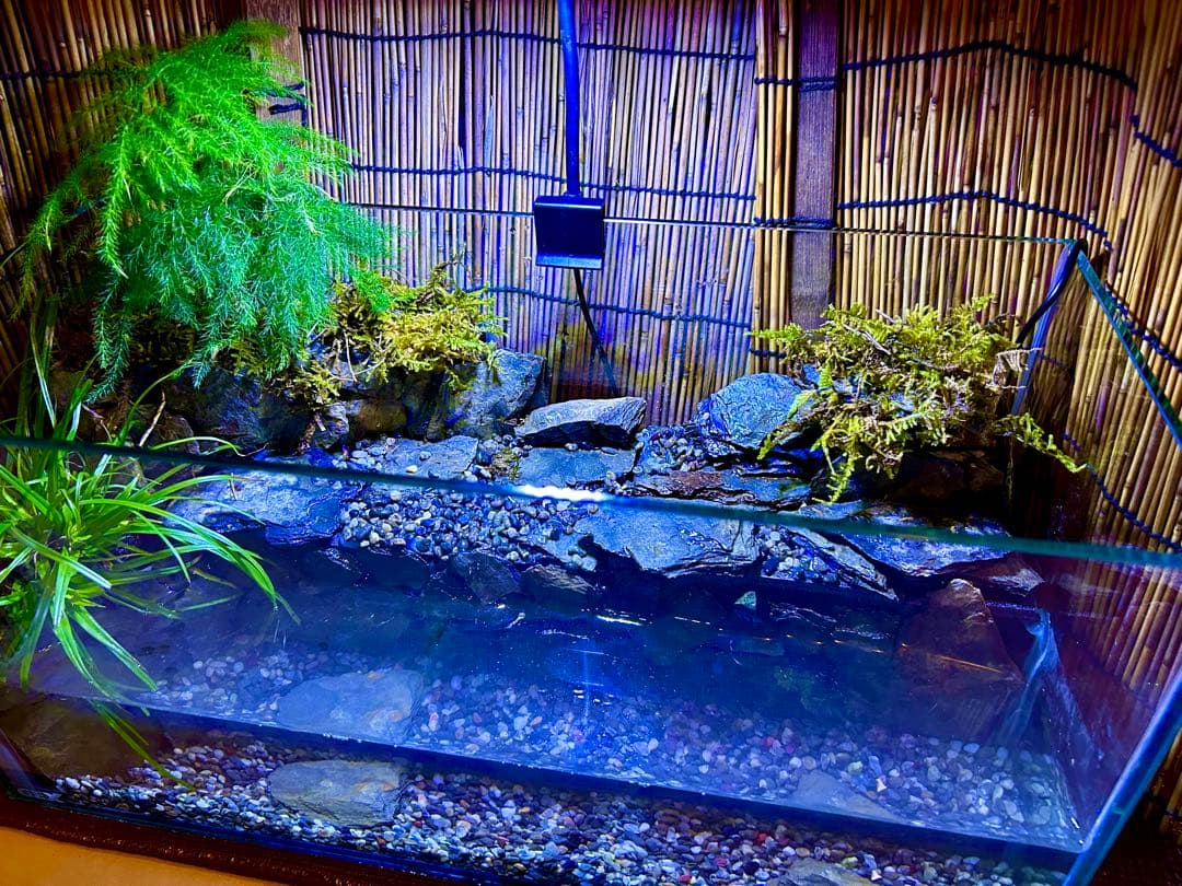 水の流れる滝テラリウム水槽　オールガラス45