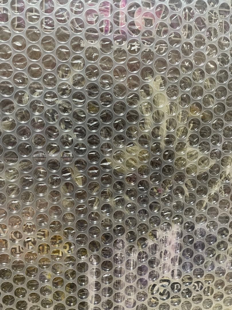 ネルギガンテ カプコンフィギュアビルダークリエイターズモデル滅尽龍 ネルギガンテ