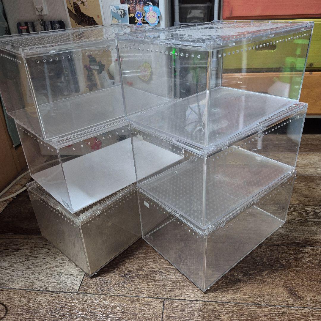 中古レプタイルボックス6個セット
