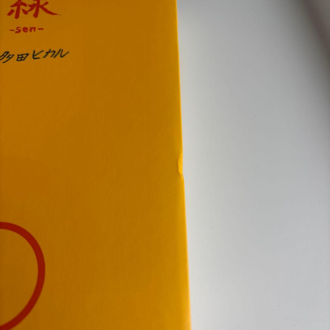 宇多田ヒカル　点 ~ten~と線~sen~二冊セット