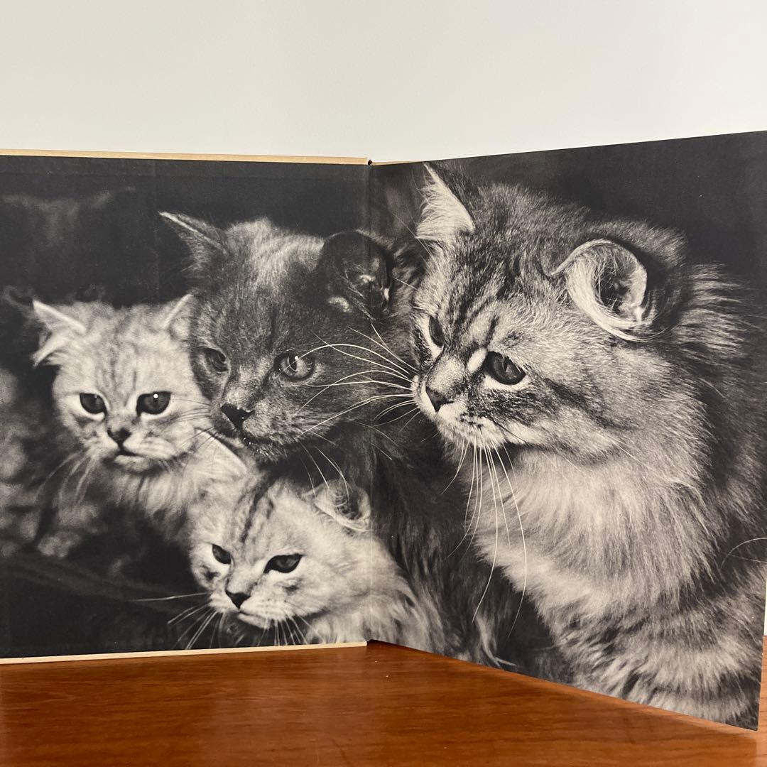 猫 写真集 CHATS HENRI SAAS フランスヴィンテージ