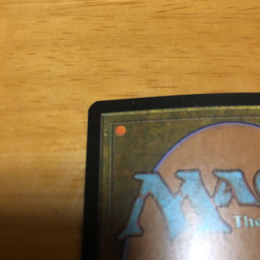 MTG 英語版　サーボ・タヴォーク　foil