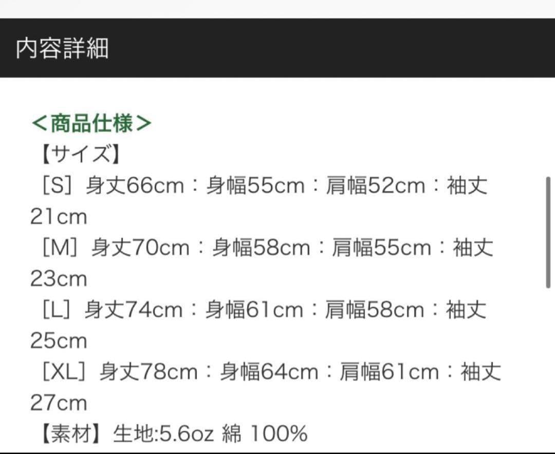 オードリーのオールナイトニッポン in 東京ドーム　ビックシルエットTシャツ　L