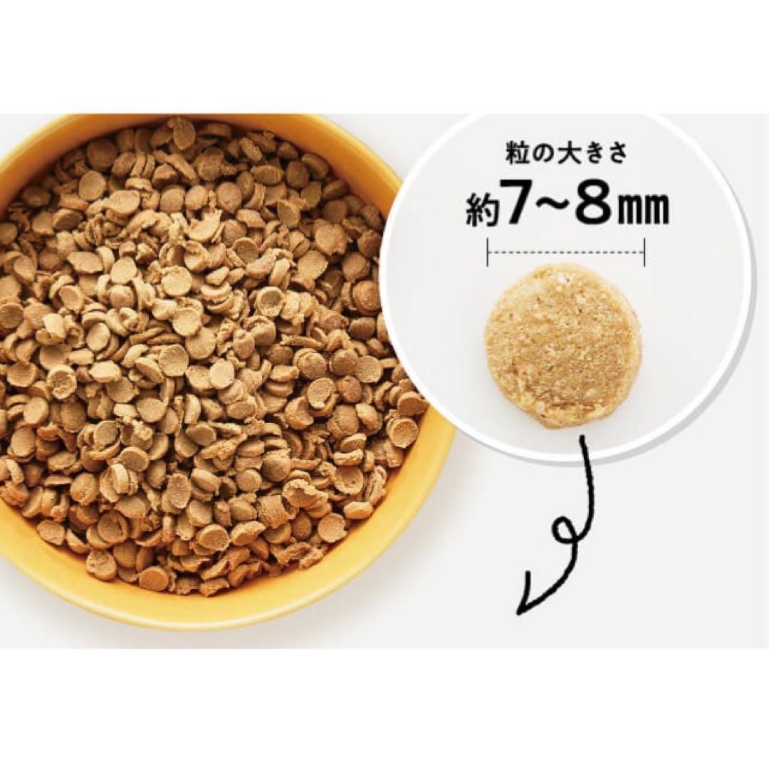 このこのごはん ドッグフード 1kg × 2袋　ふりかけおまけ付き