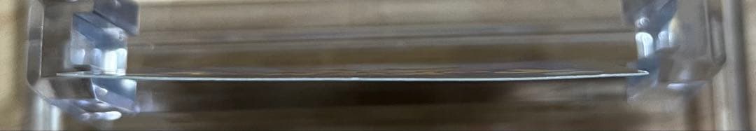 誕生日ピカチュウ 25th