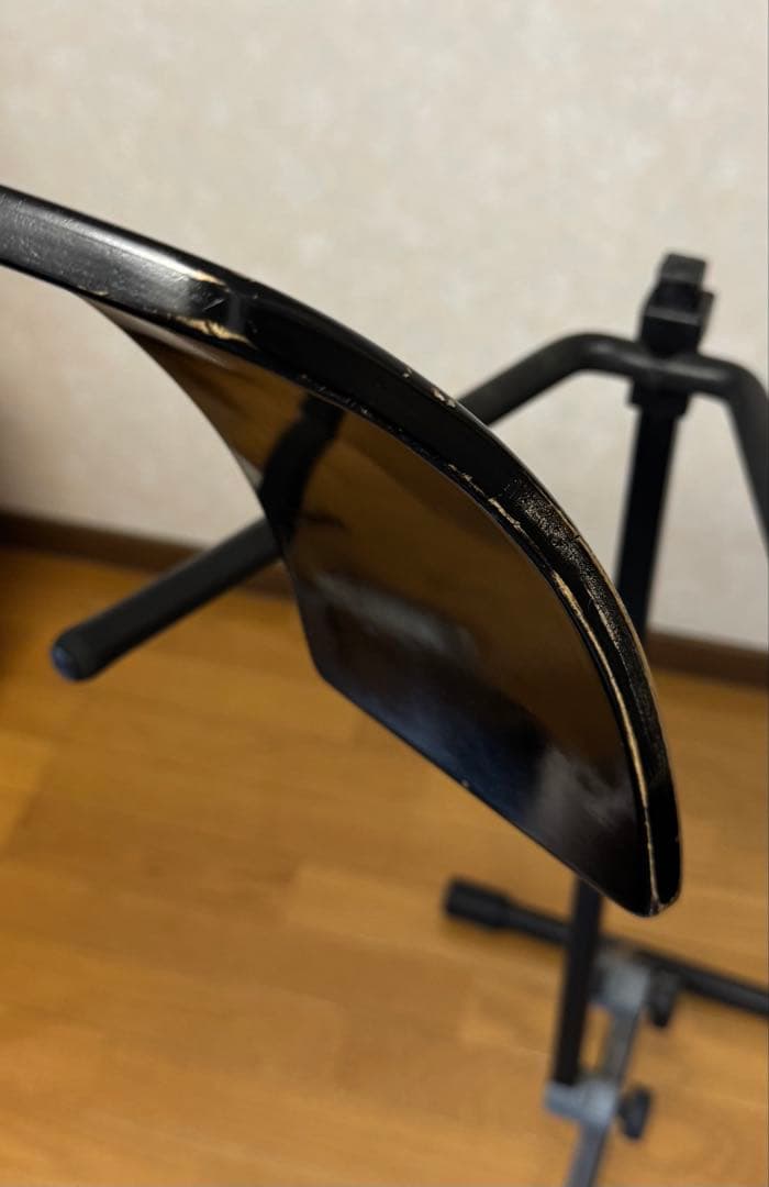 ベース Alter Ego Acoustic Line Figaro