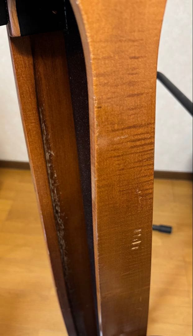 ベース Alter Ego Acoustic Line Figaro