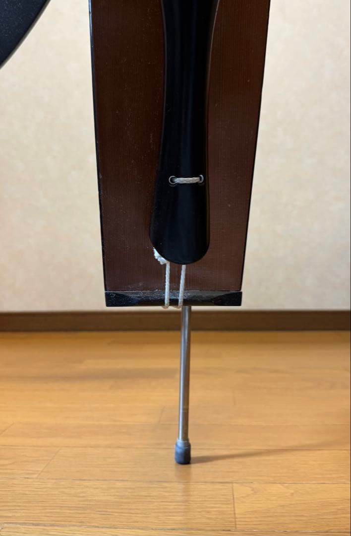 ベース Alter Ego Acoustic Line Figaro