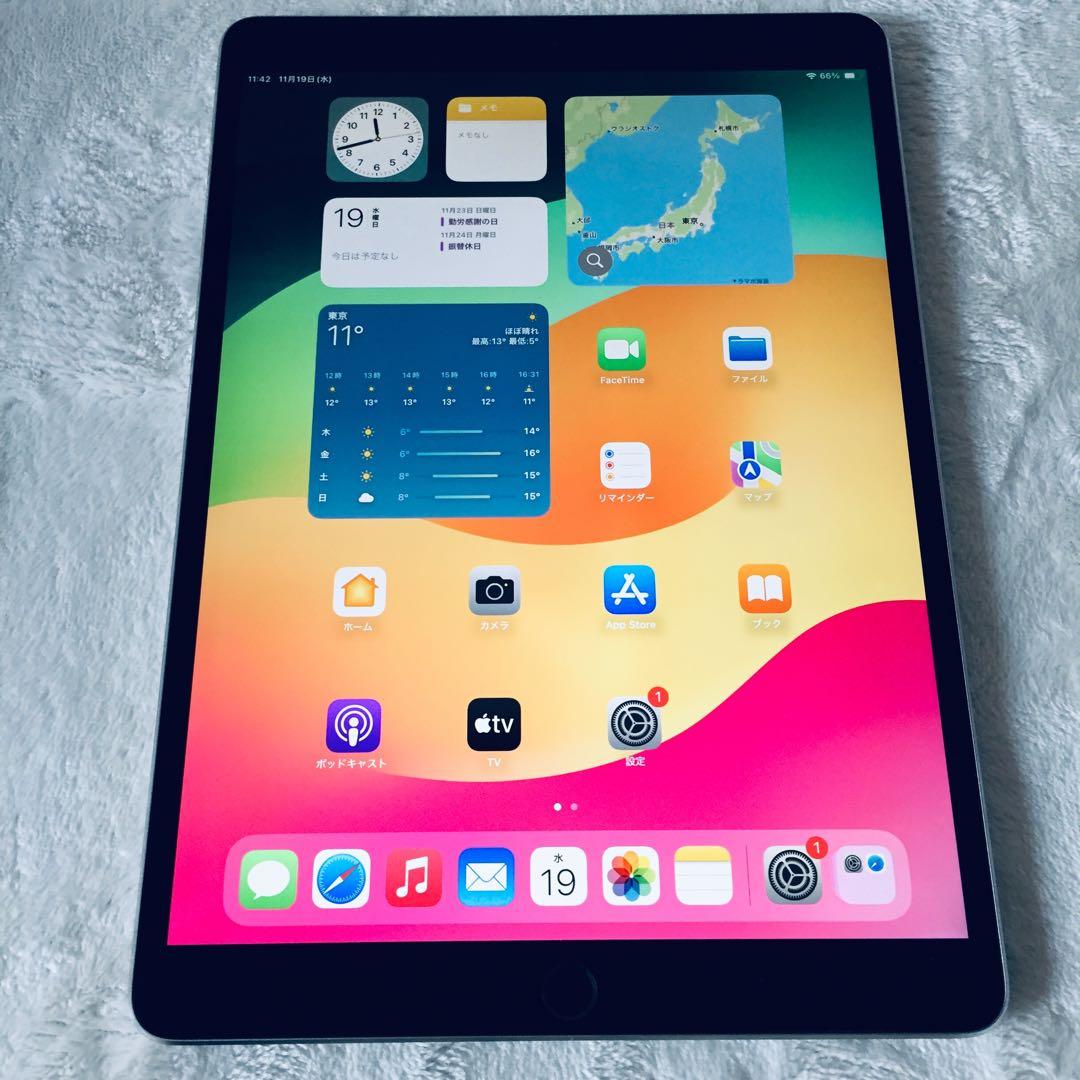 美品 iPad Pro 10.5 64GB A1701 バッテリー良好