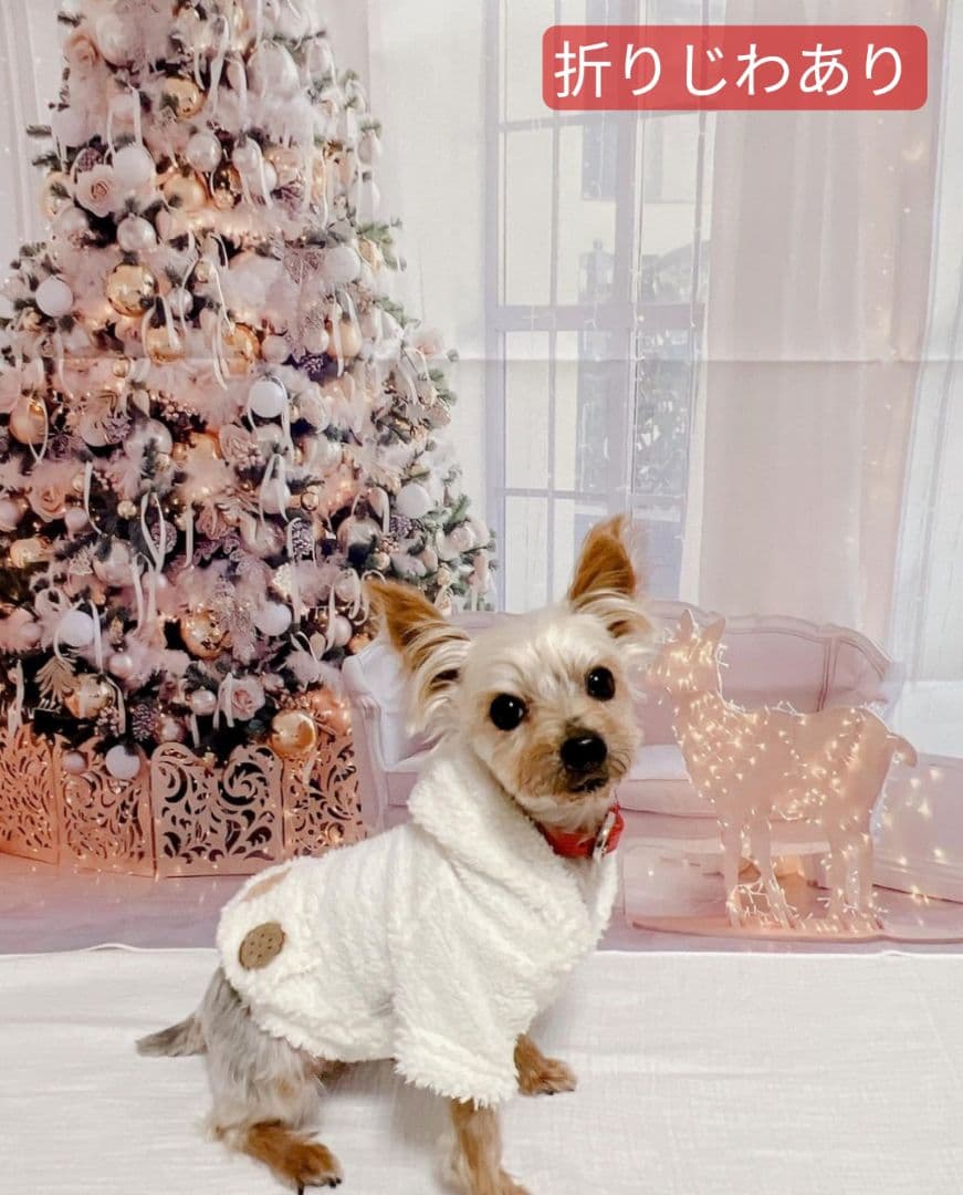 背景布夏BA④　ペット撮影用フォトブース　向日葵　ヒマワリ　トリミングチョーカー