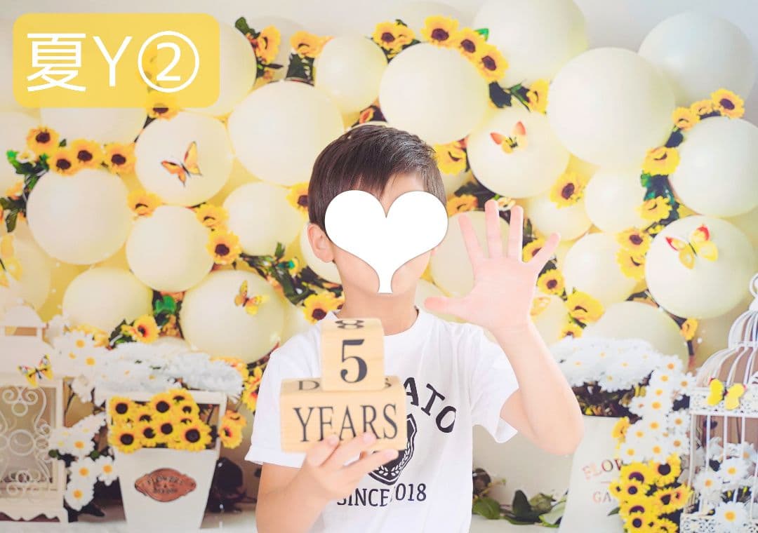 背景布夏BA④　ペット撮影用フォトブース　向日葵　ヒマワリ　トリミングチョーカー