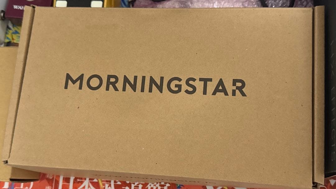 ギター MORNINGSTAR MC8