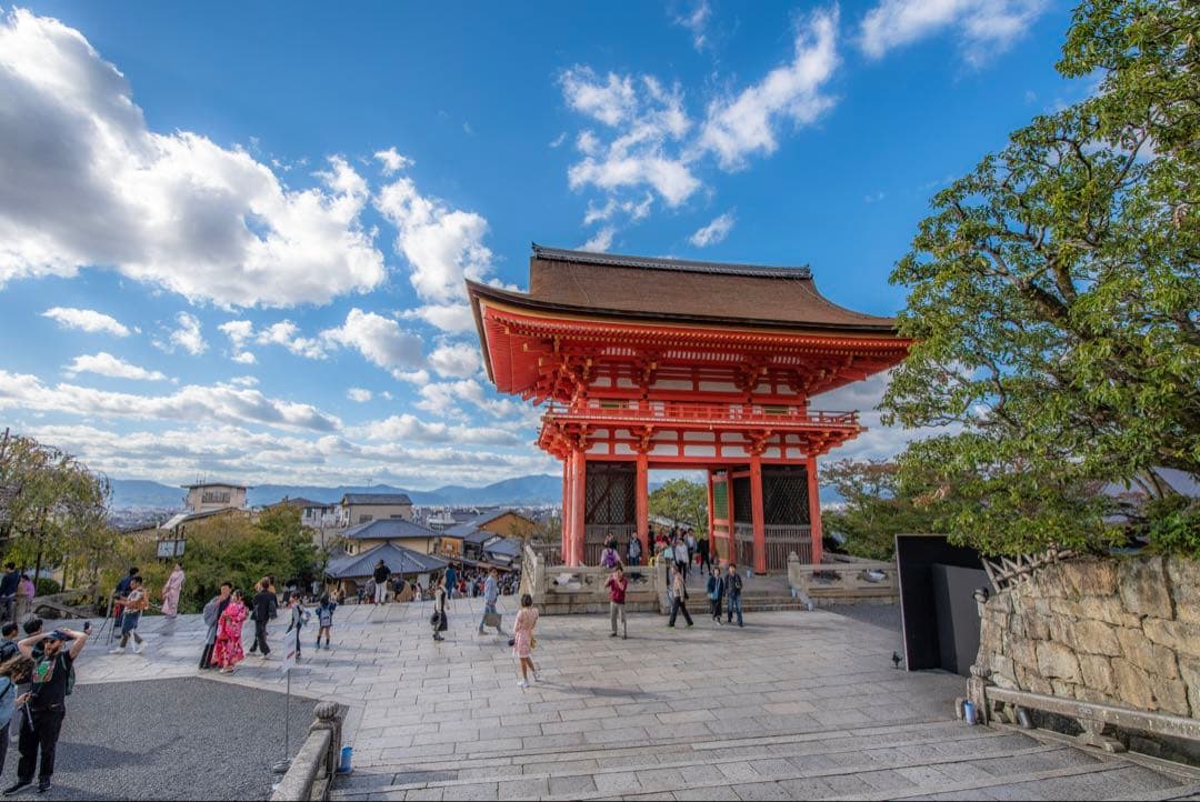 【作例あり】タムロン A012 SP 15-30mm F/2.8 ニコン