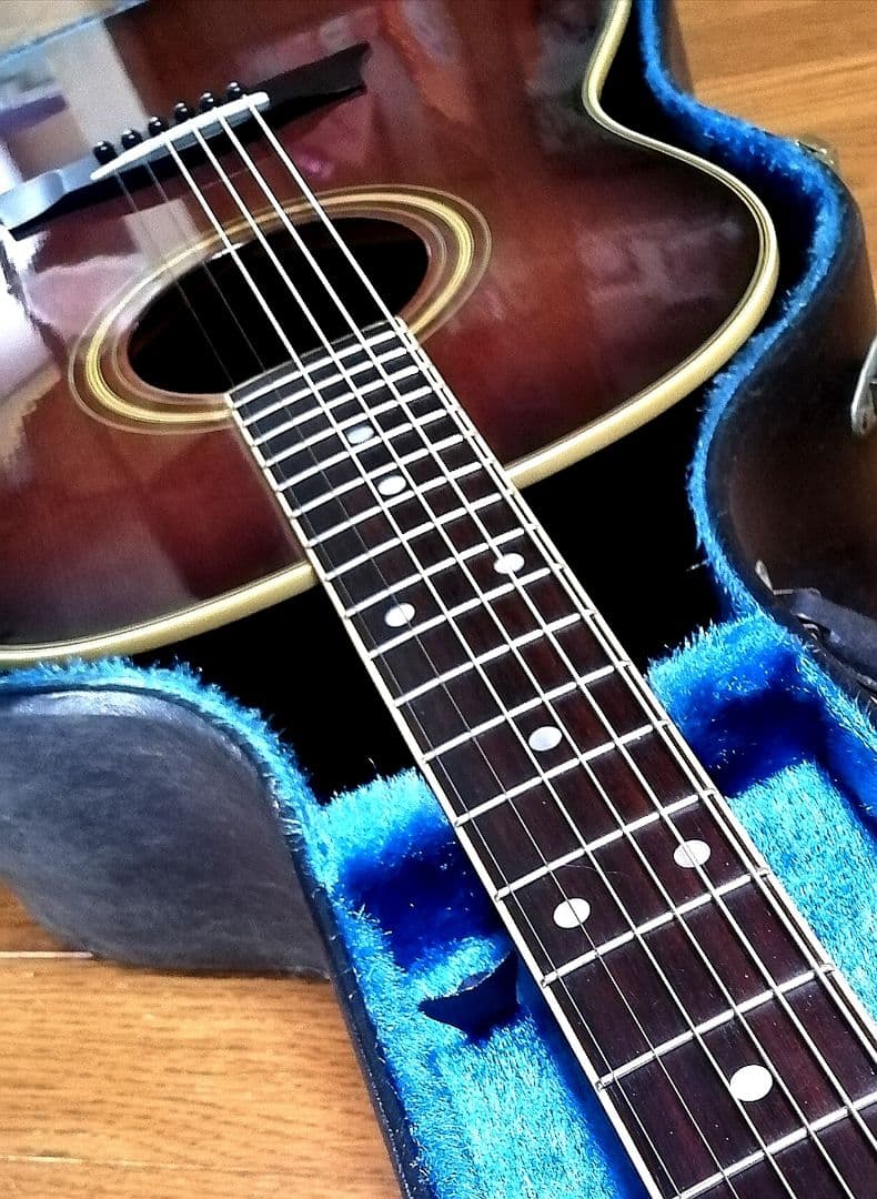 ★縦ロゴ★Gibsonモデル★MORRIS MG-30