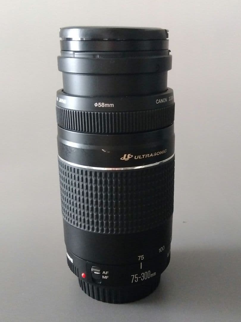 Canon EFレンズ2本（28-80/75-300mm）＋バッグ＋フィルター付