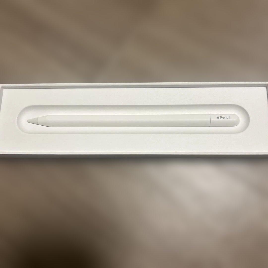 Apple Pencil USB-C ホワイト
