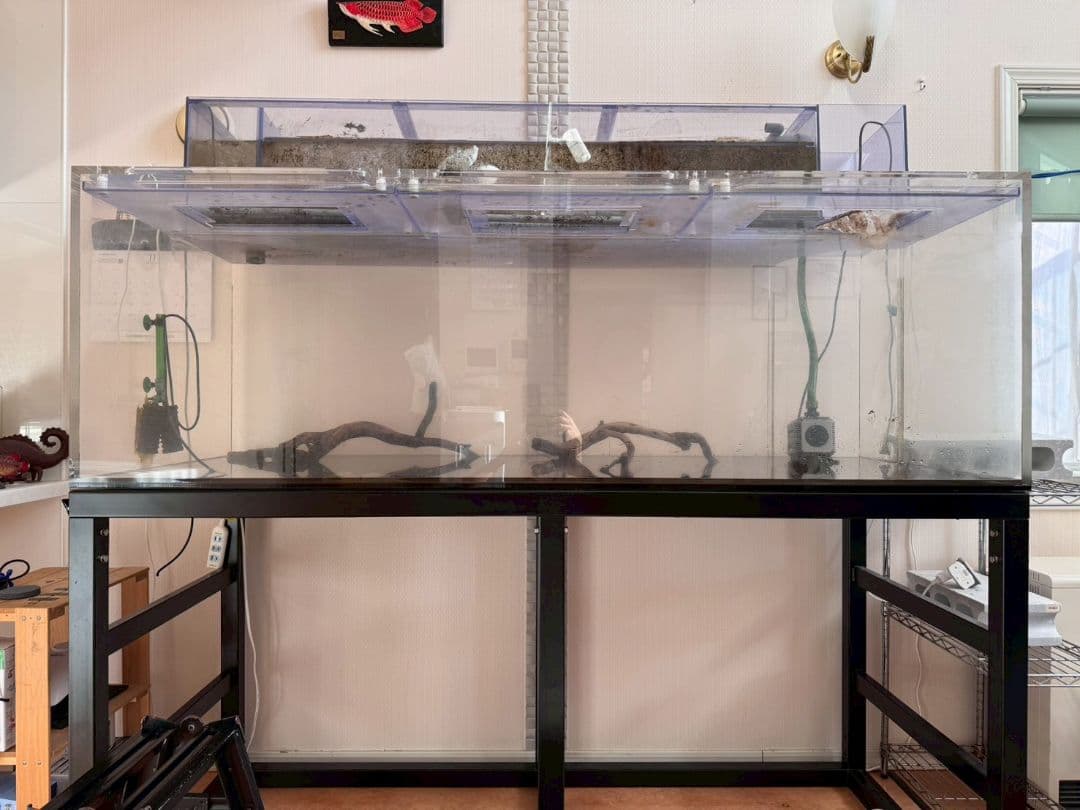 最終出品！1800×750×600アクリル水槽&上部フィルター&水槽台