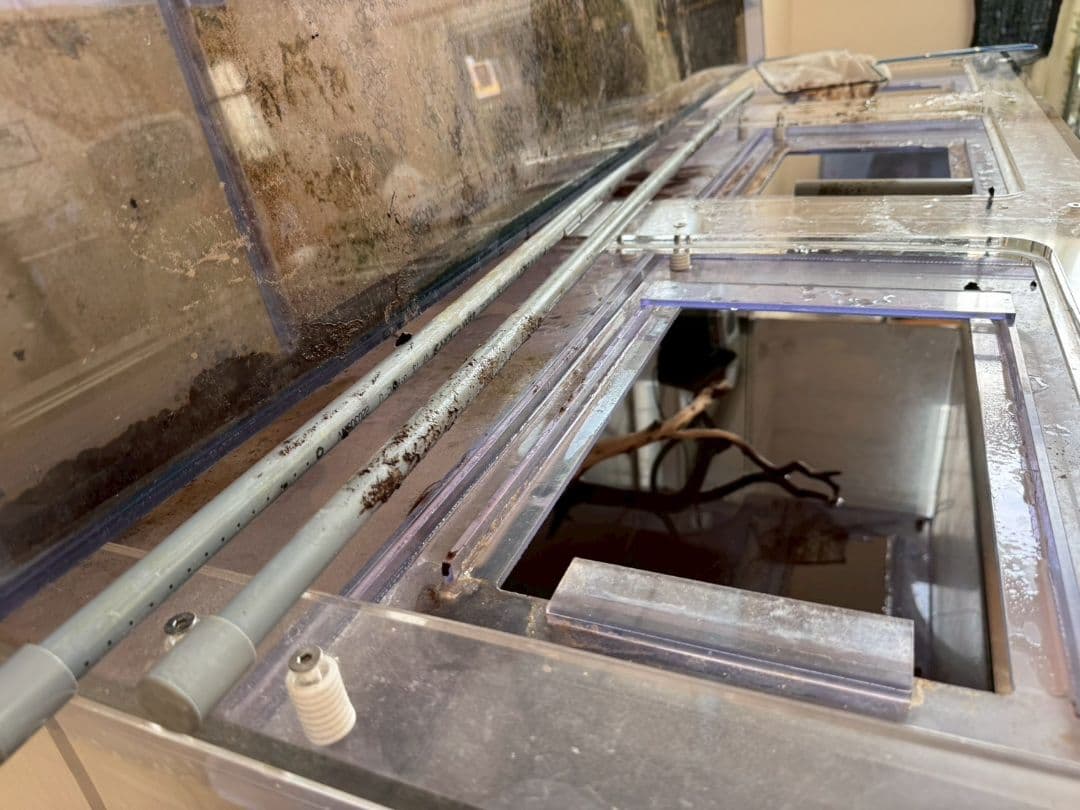 最終出品！1800×750×600アクリル水槽&上部フィルター&水槽台