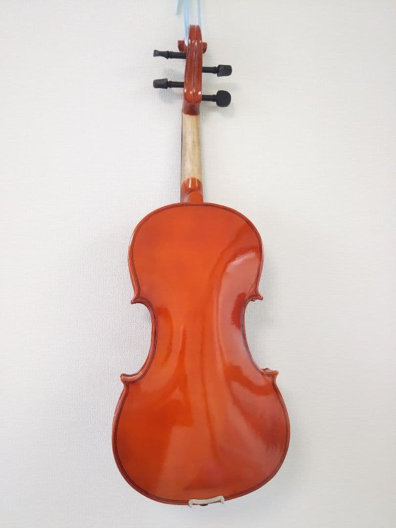 ビオラ 40cm