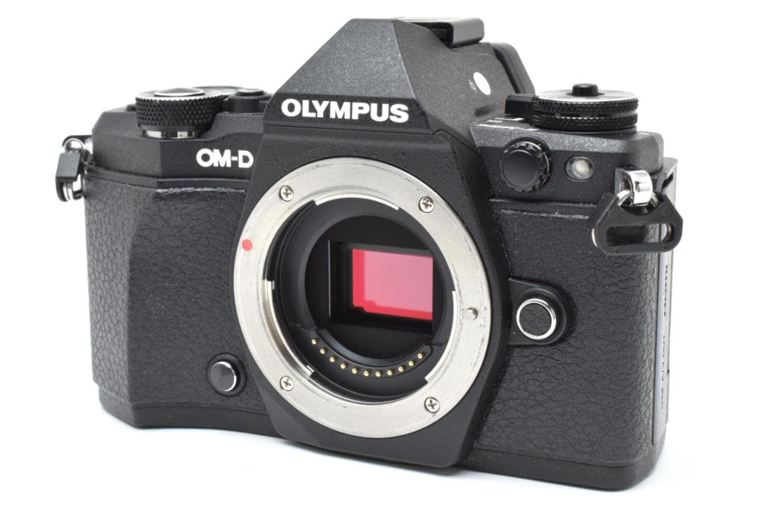 美品 OLYMPUS OM-D E-M5 Mark II ボディ 1379