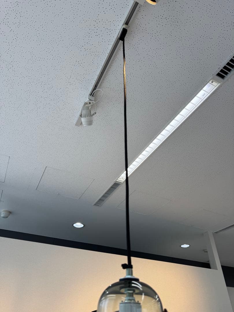 PETER IVY ピーター　アイビー Light Capsule L