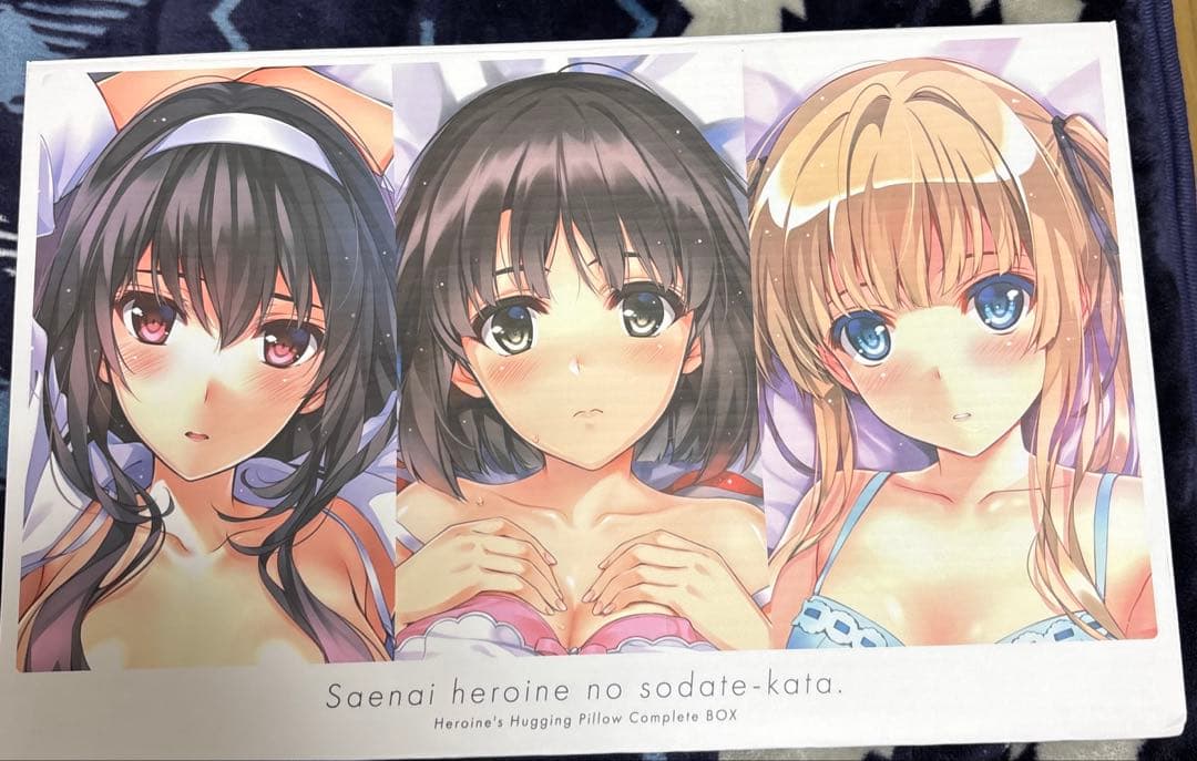 冴えない彼女の育てかた ヒロインコンプリート 抱き枕カバー BOX