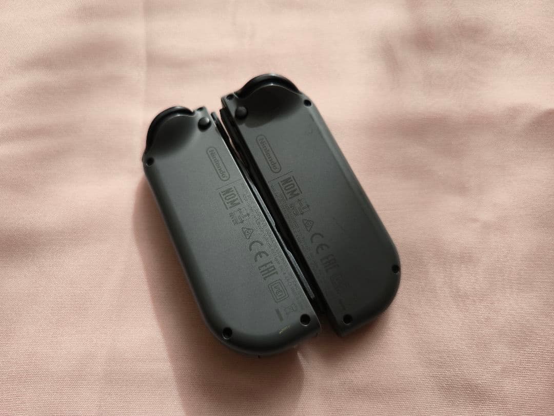 Nintendo Switch 本体 + 256GB SDカード