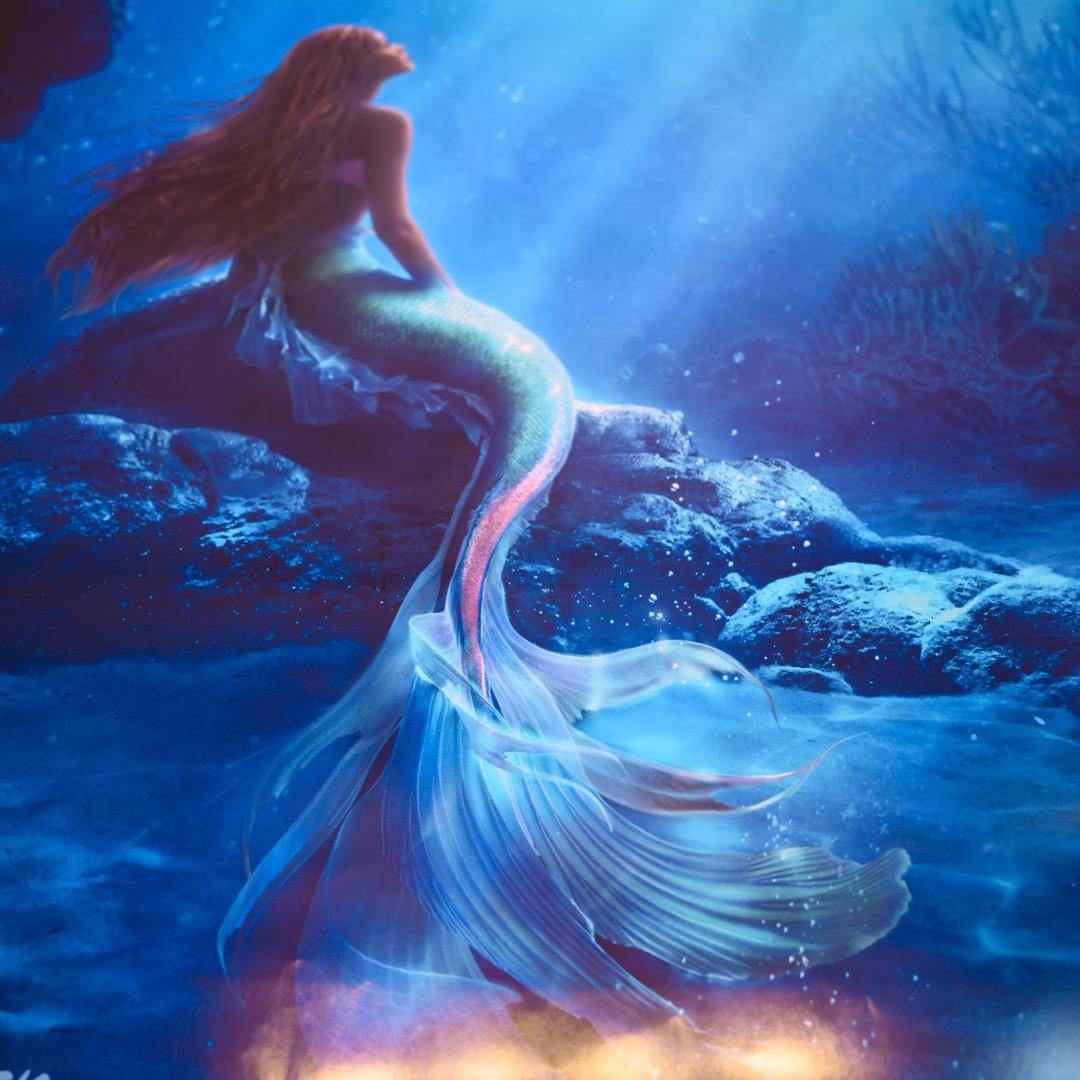 【映画館用両面ポスター】リトル・マーメイド The Little Mermaid