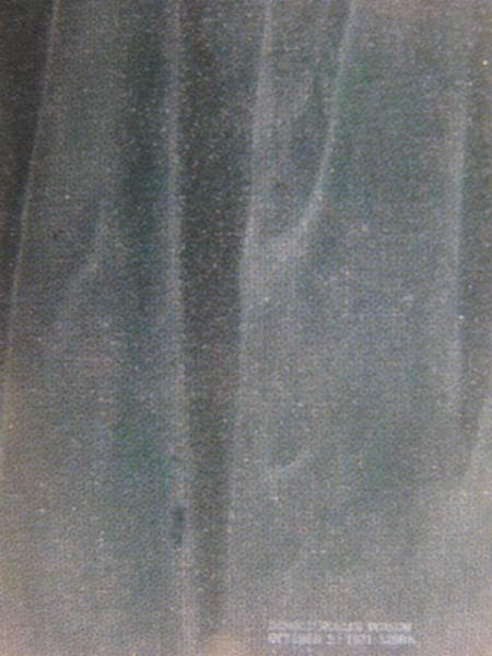 DONALD ROLLER WILSON、LIBLA、海外版超希少レゾネ