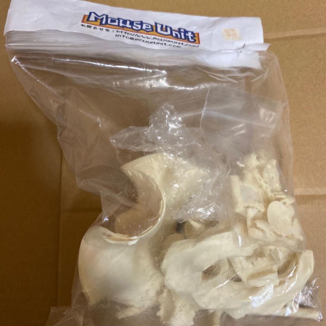 伊吹萃香 東方Project mouse Unit ガレージキット