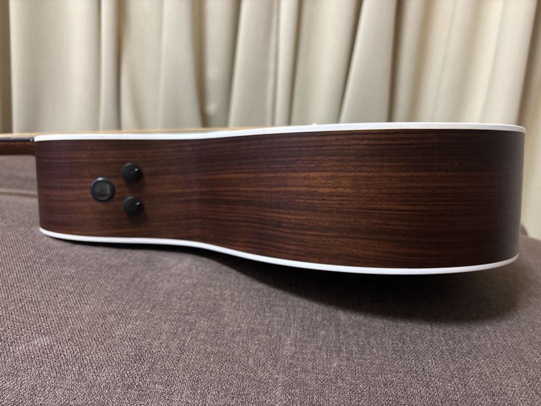 Martin & Co. アコースティックギター GPCPA4 Rosewood