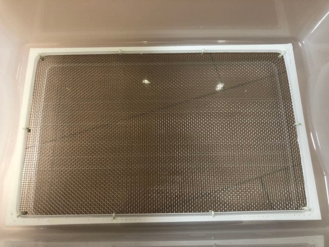 雫工房　フルセット！デュビア用飼育・繁殖ケージ　大型　二重底上段メッシュ底