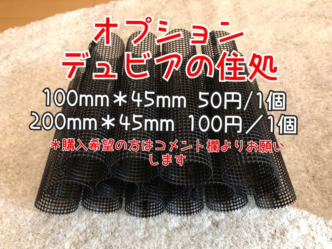 雫工房　フルセット！デュビア用飼育・繁殖ケージ　大型　二重底上段メッシュ底