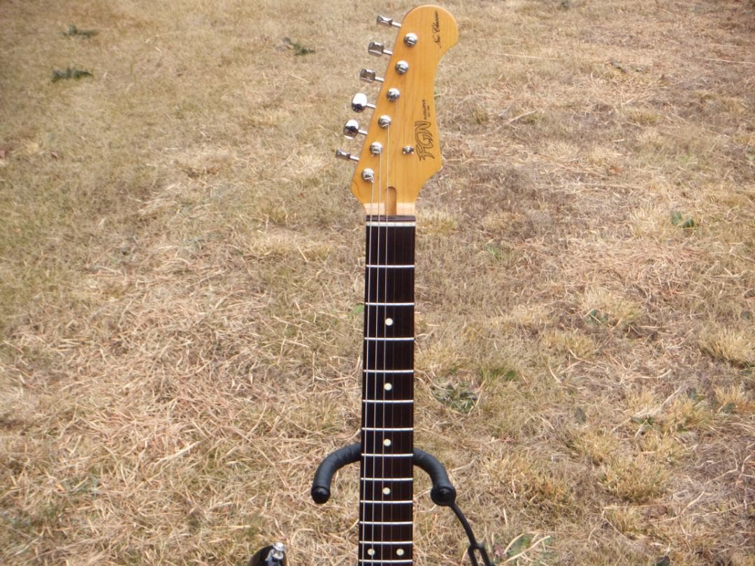 Fujigen NST 200 ラッカー　マダガスカルローズ　ダンカン