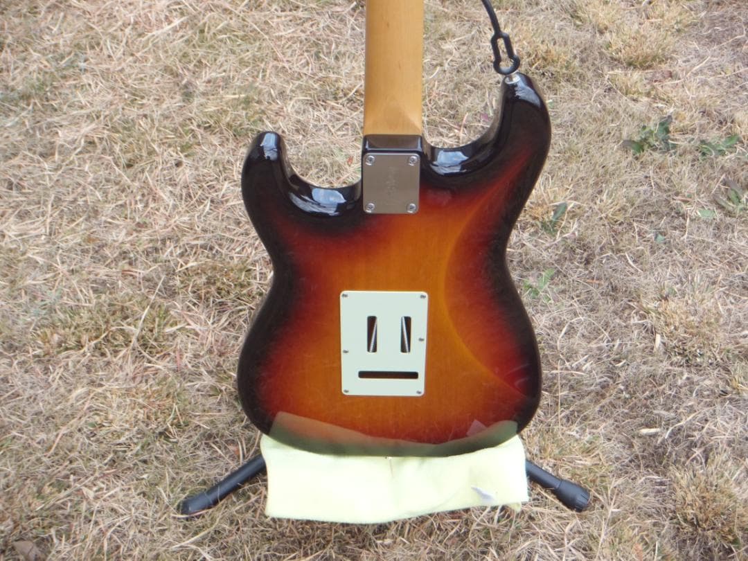 Fujigen NST 200 ラッカー　マダガスカルローズ　ダンカン