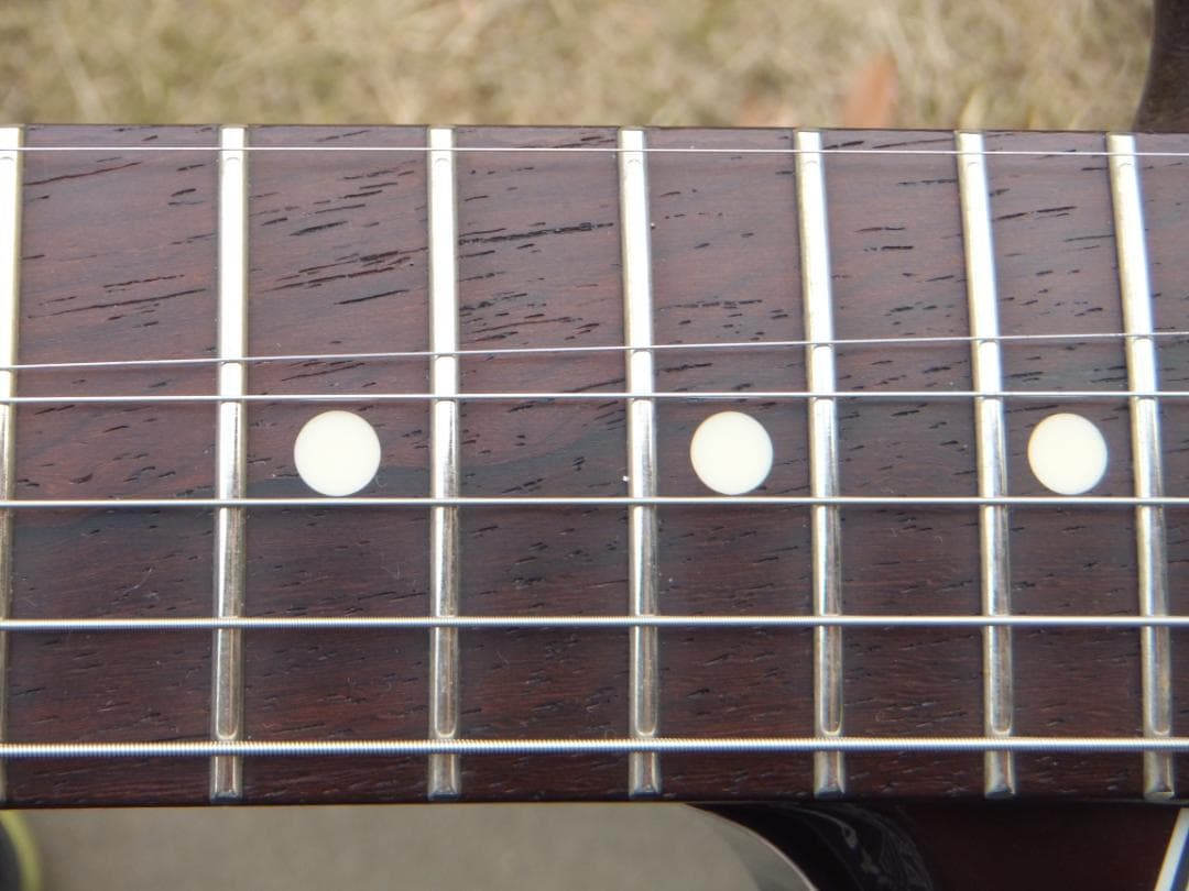 Fujigen NST 200 ラッカー　マダガスカルローズ　ダンカン