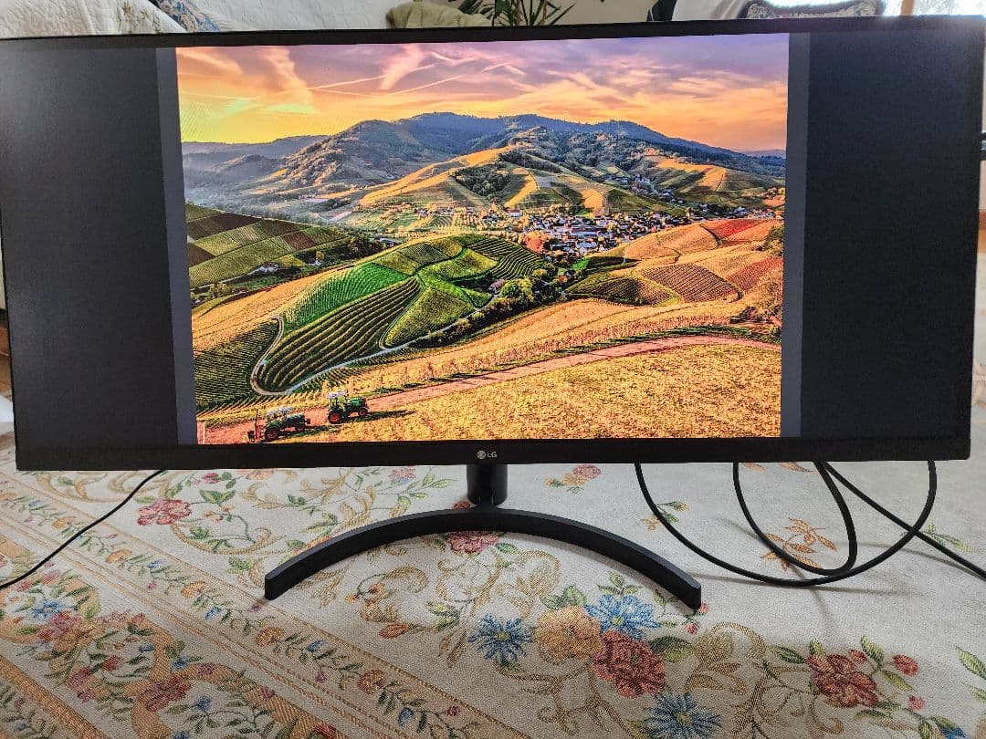 LG 34インチ ウルトラワイドモニター 34wl500-b 美品 動作確認済