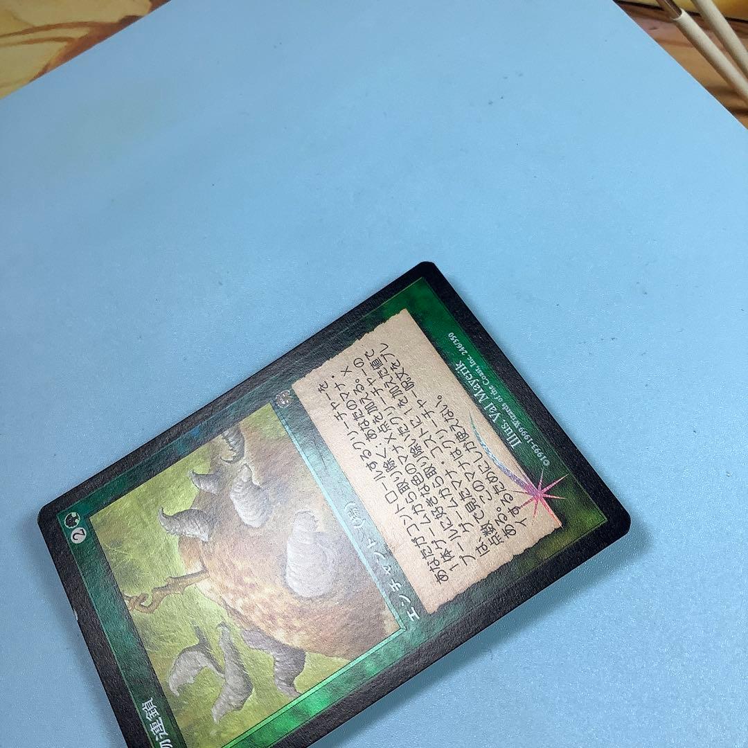 食物連鎖/Food Chain MMQ日本語foil