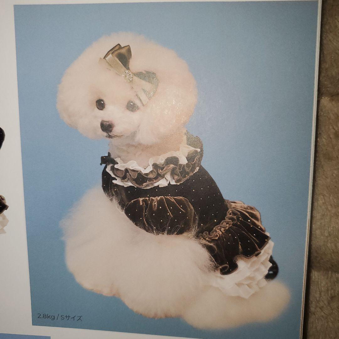 【新品タグ付き未開封】ゴッドピバ新作ドットプリマワンピースSMサイズブラウン