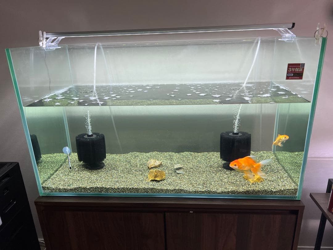 ※引き取り限定　神奈川県 GEXグラステリア 90×40×50.5㎝　ガラス水槽