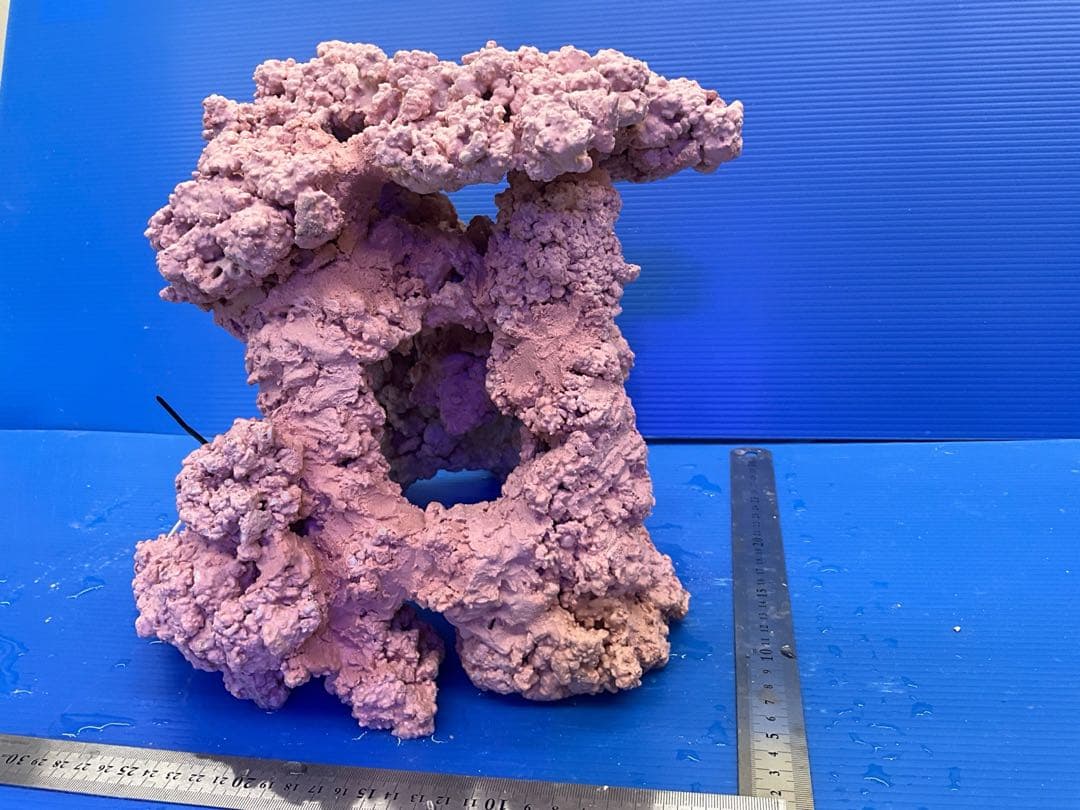 人工ライブロック　No.14 アク抜き済