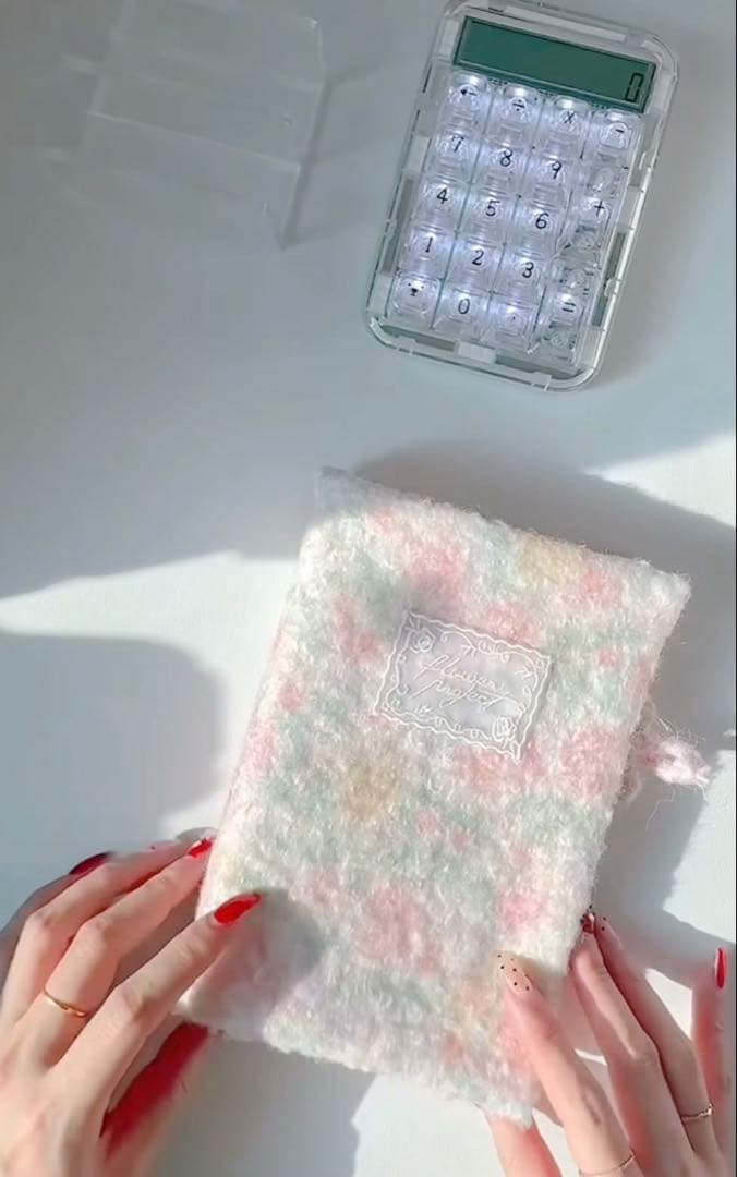 1点のみ 韓国 A6バインダー 現金 貯金 リフィル