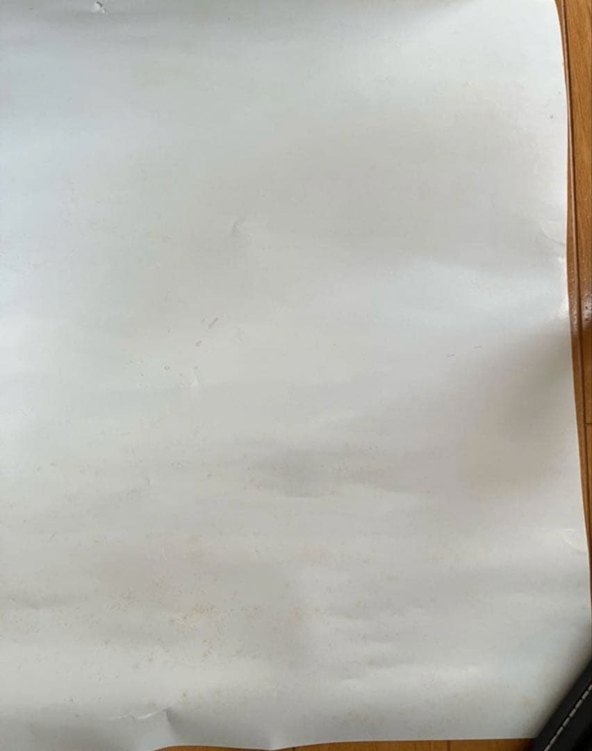 自民党 小泉進次郎議員 ポスター