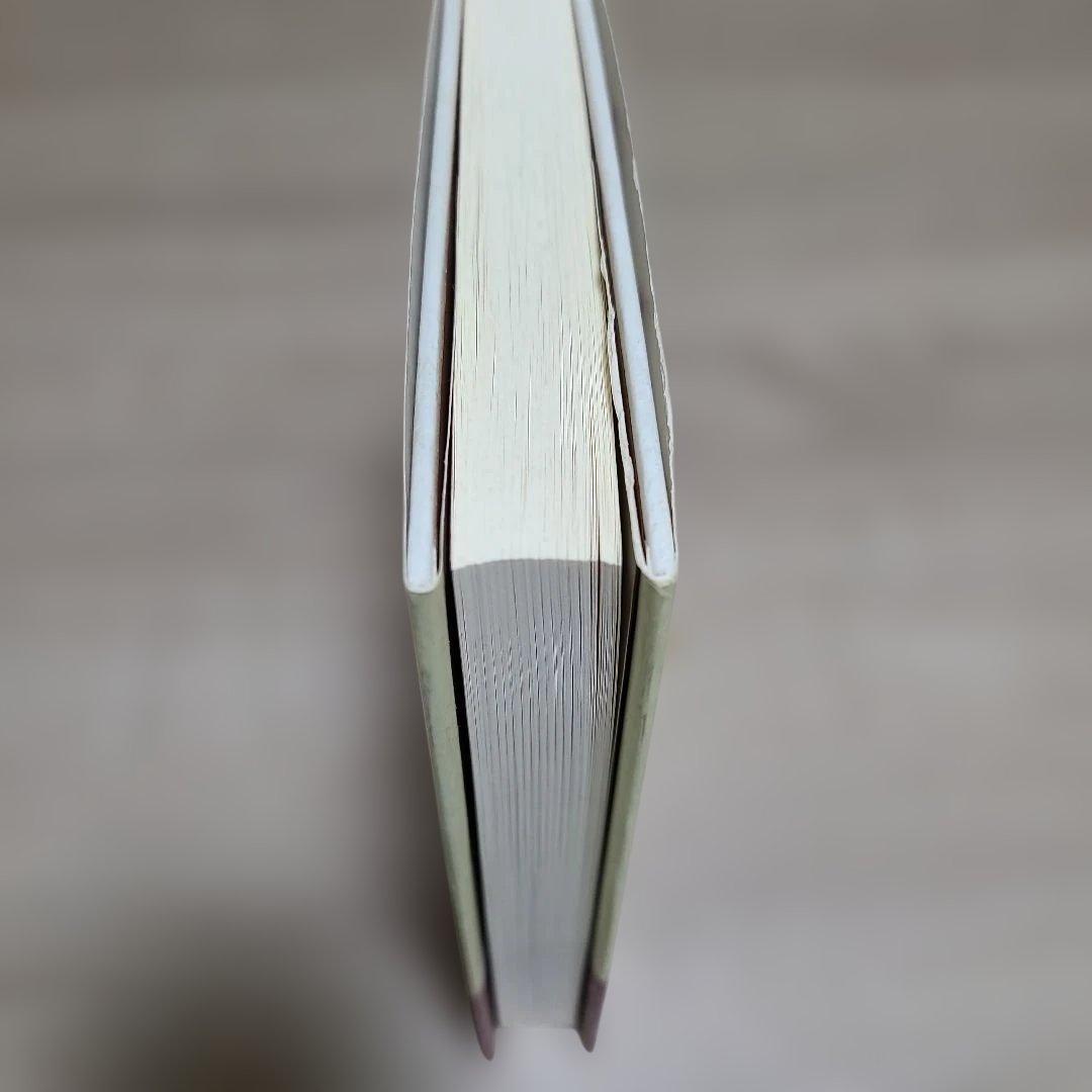 高市早苗のぶっとび永田町日記1995年8月初版発行高市早苗総理34才の出版帯付き